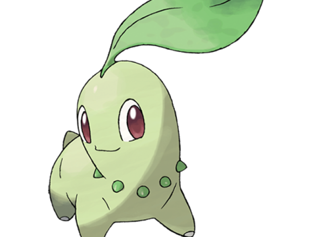 Chikorita