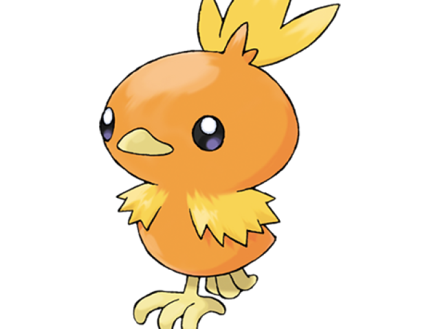 Torchic