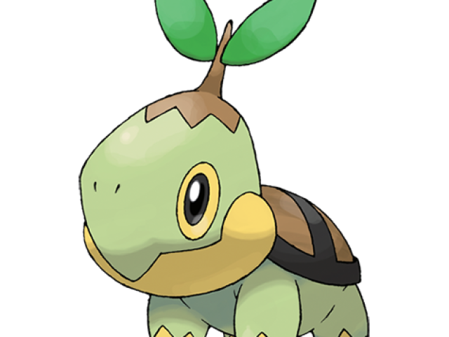 Turtwig