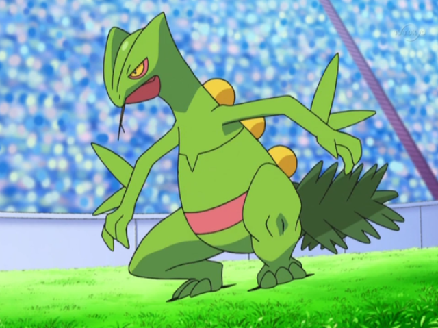 Sceptile