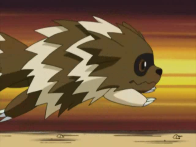 Zigzagoon