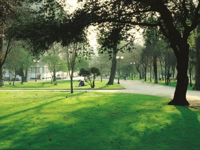 Parque