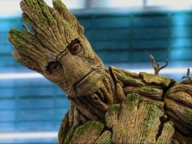 groot