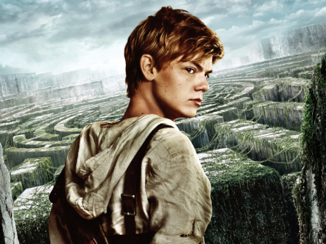 Newt