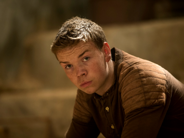 Gally