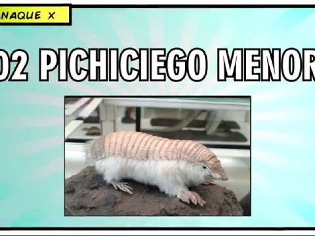 Pichiceiego