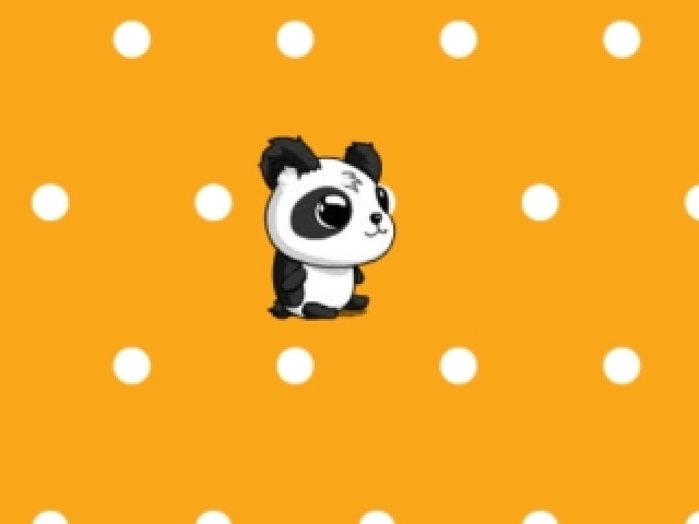 Panda (dudinha tchê foxy)