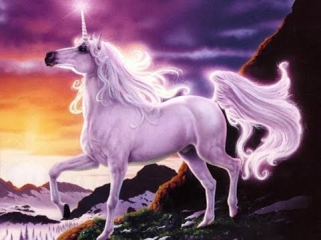 Eu sou uma pessoa sem limites, QUERO UM UNICORNIO!