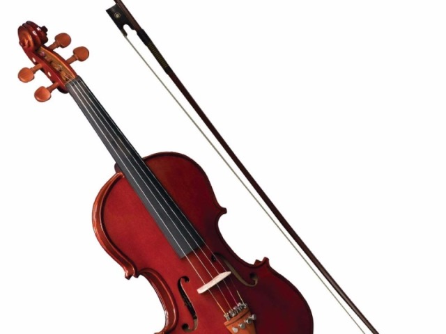 Violino