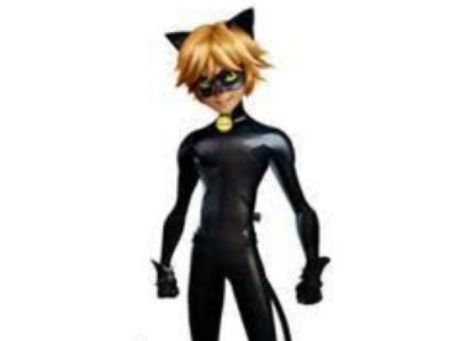 Chat Noir