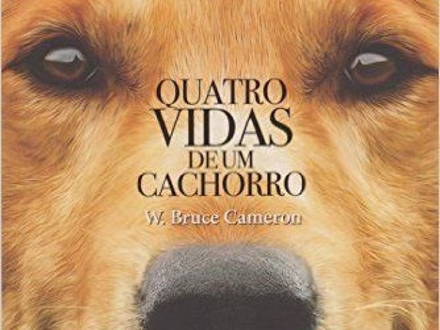 4 Vidas de um Cachorro