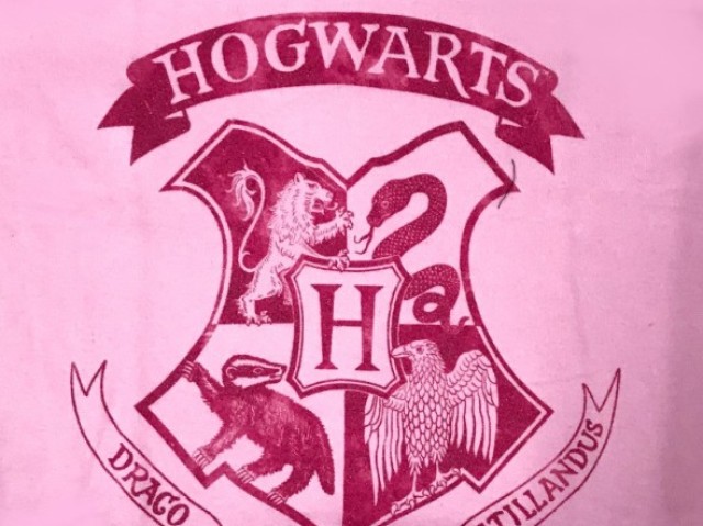 Conhece mesmo Harry Potter?