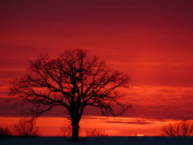 Vermelho