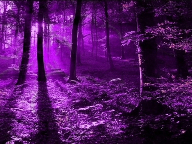 Roxo