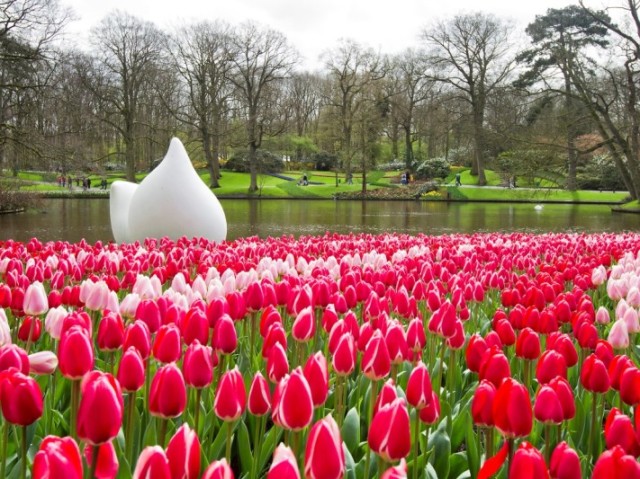 Primavera
