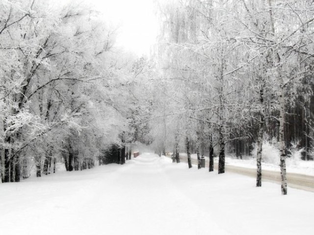 Inverno