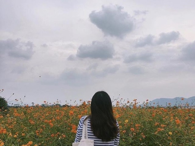 Kim Nayeon (Resiliência)