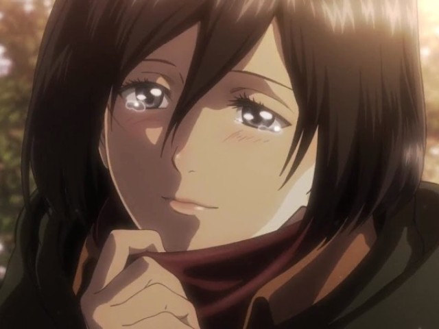 Mikasa