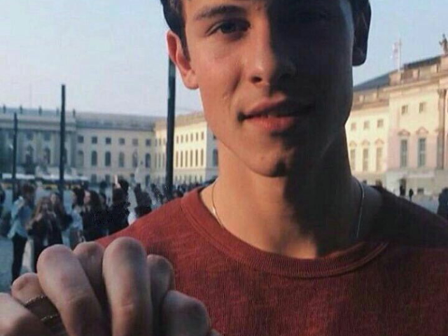 Você seria perfeita para o Shawn "Bolinho" Mendes