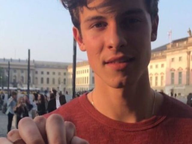 Você seria perfeita para o Shawn "Bolinho" Mendes?