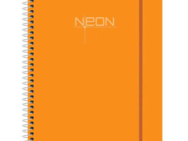 Caderno básico qualquer cor