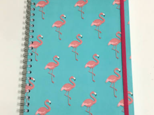 Caderno de bichinho, flamingo, panda, lhama...