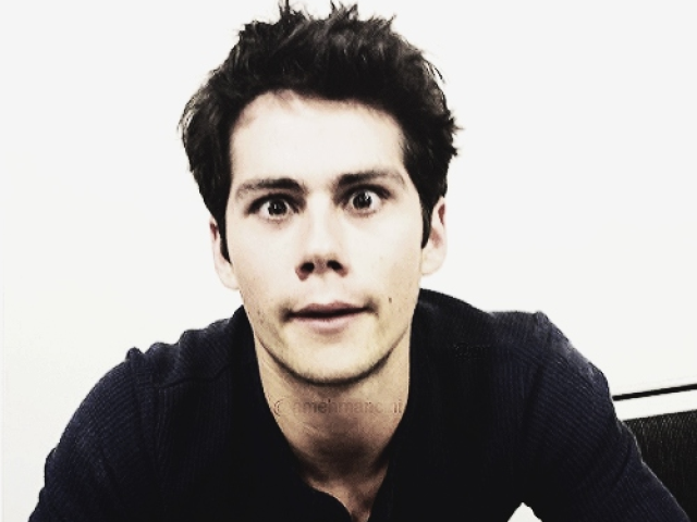 Stiles