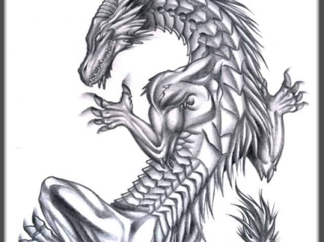 Dragão ou dragoa