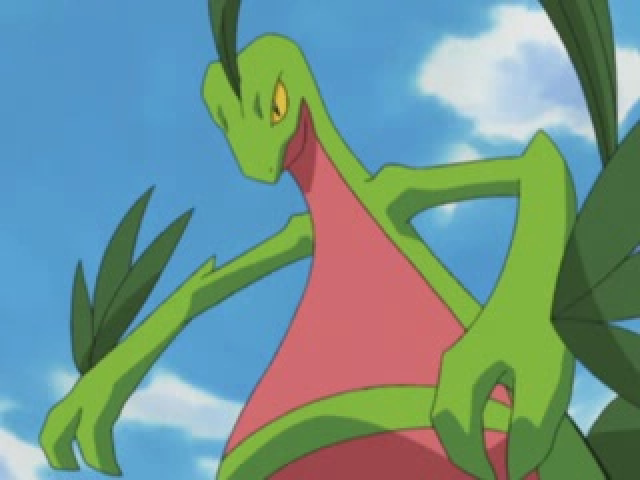 Grovyle