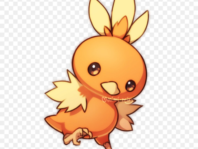 torchic