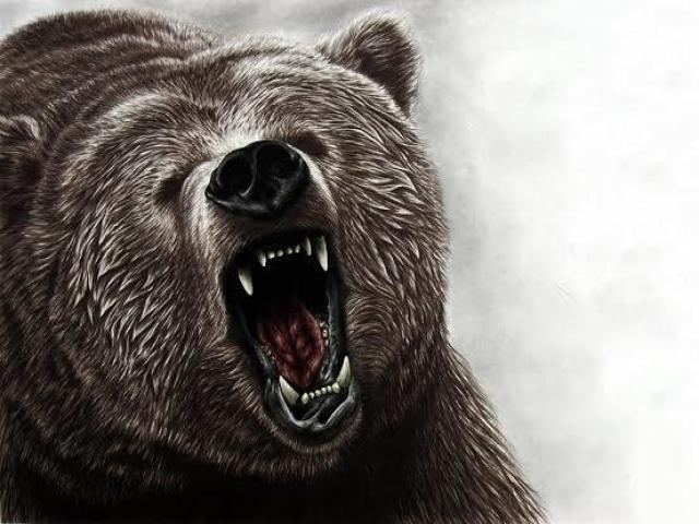 Urso