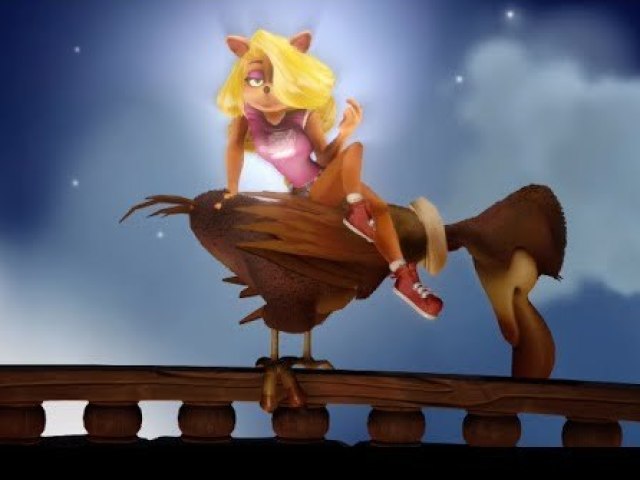Tawna Bandicoot