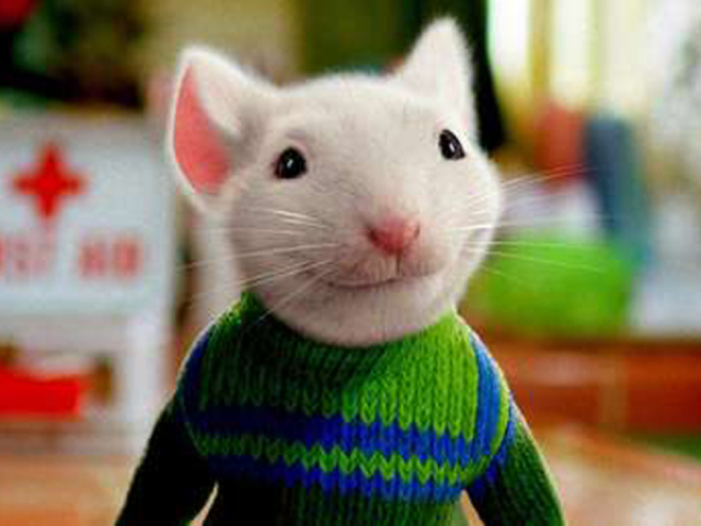 O Pequeno Stuart Little