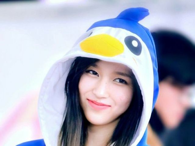 pinguim