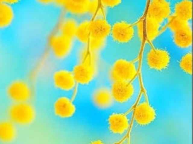 Amarelo