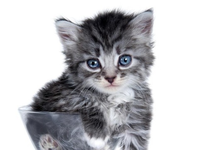 Ok...!? <3