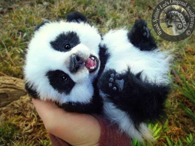 Pandinhaaaa