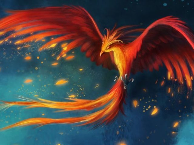 Fênix