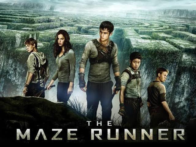 The mazze runner