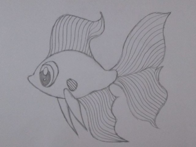 Peixe