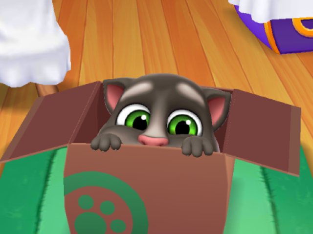 My talking Tom