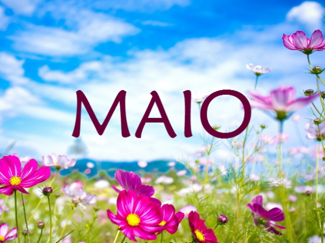 Maio