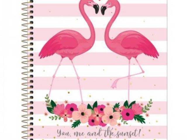 Flamingos