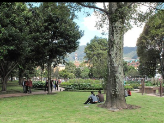 Parque