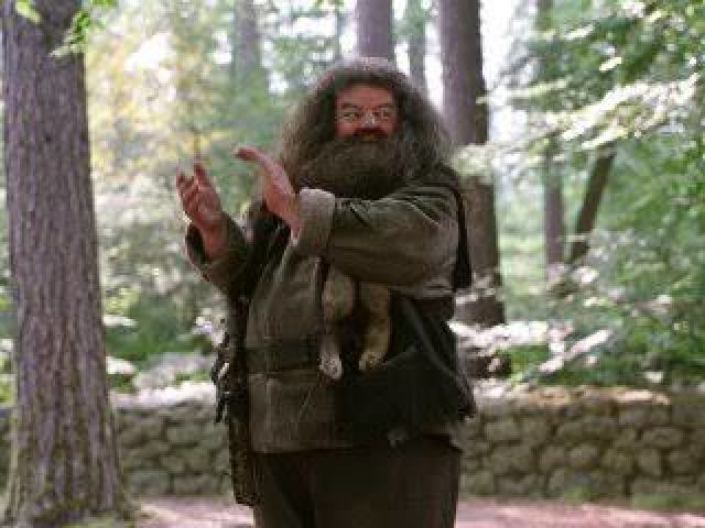 HUBEO HAGRID