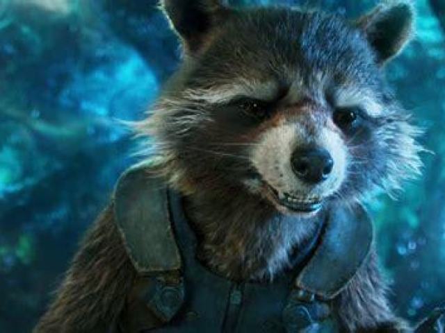 Rocket Raccoon