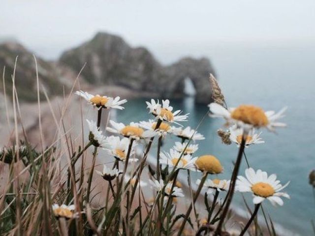 Sentimental; sou um amante da natureza e possuo inúmeras histórias emocionantes sobre a minha relação e contato com absolutamente tudo existente.