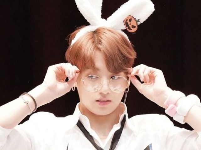 kookie coelhinho fofo