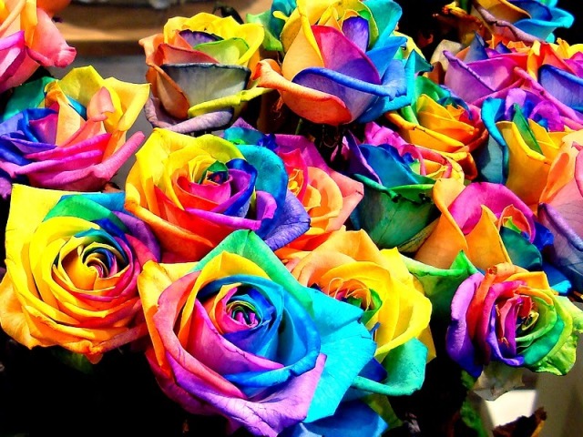 Todas!