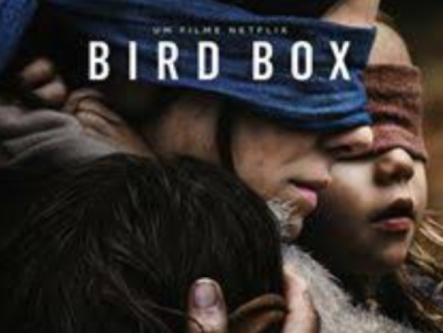 Bird Box